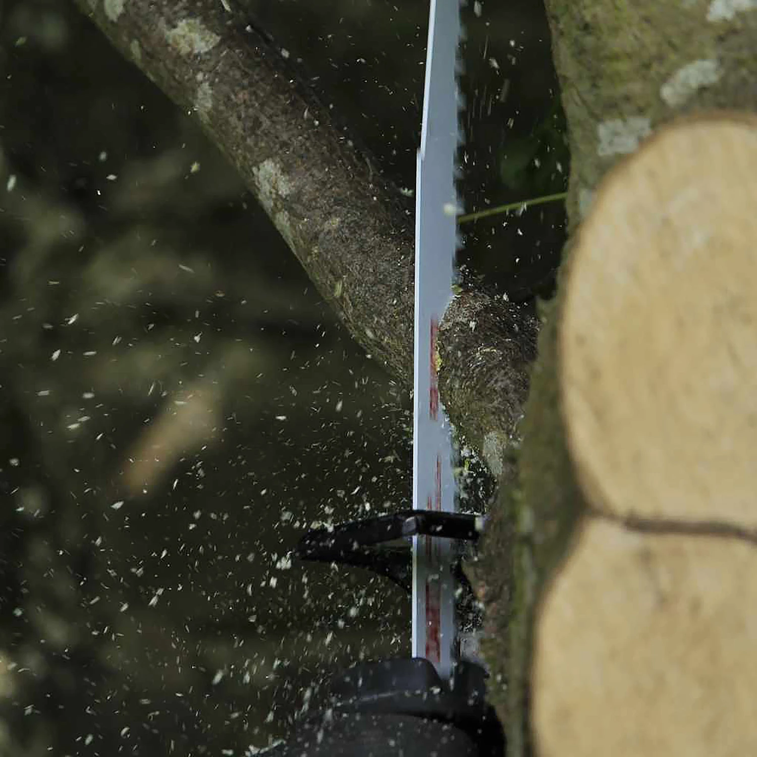 Dart S1531L Wood-Cutting Reciprocating Saw Blades (5 Pack) 220mm - DRB51 4 Dart S1531L Wood-Cutting Reciprocating Saw Blades (5 Pack) 220mm - DRB51 - Image 4